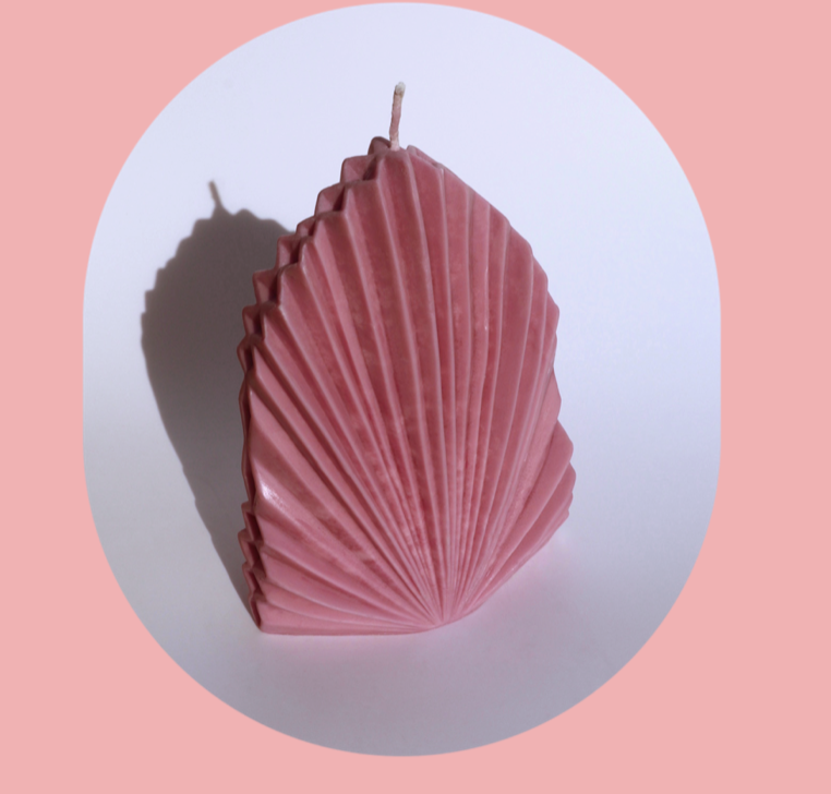 Palm & Conquer