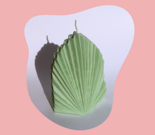 Palm & Conquer
