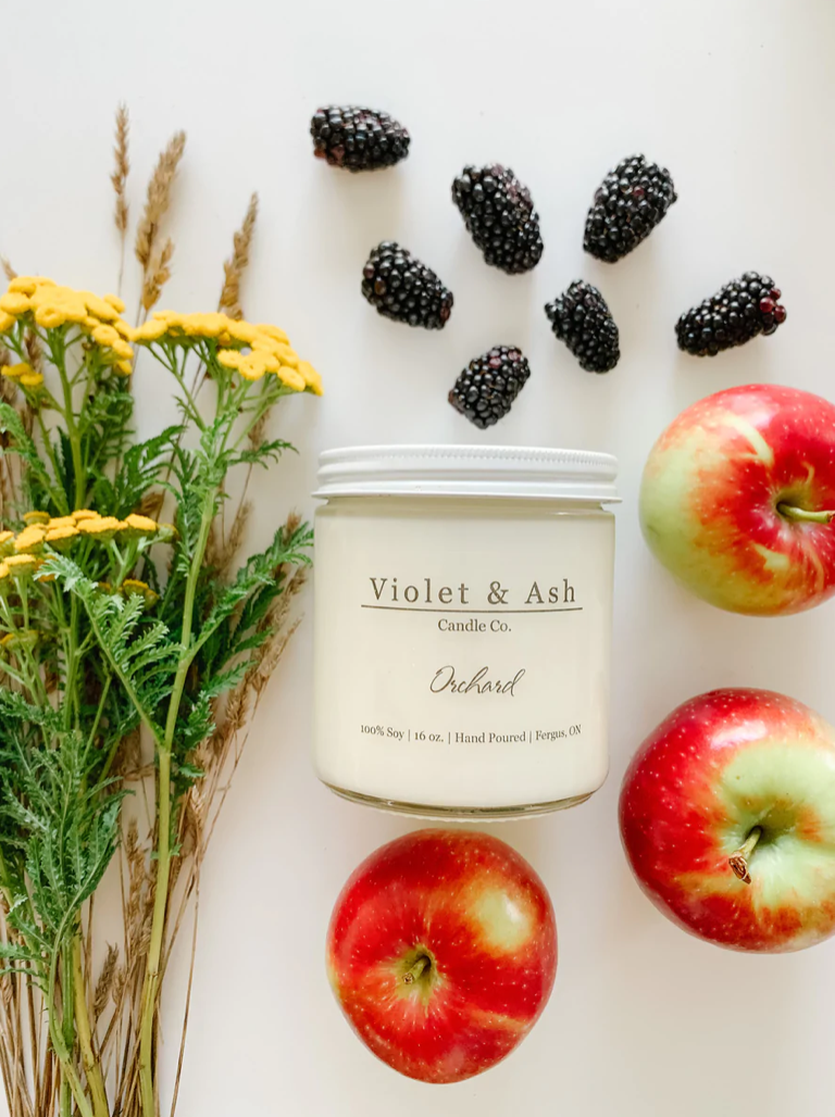 Violet & Ash Collection  16oz