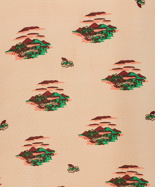 Southwest Blouse